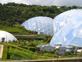 博雅生物，引领生物科技新纪元