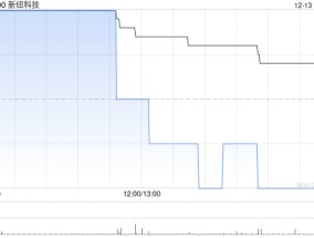 新纽科技12月13日斥资25.8万港元回购60万股